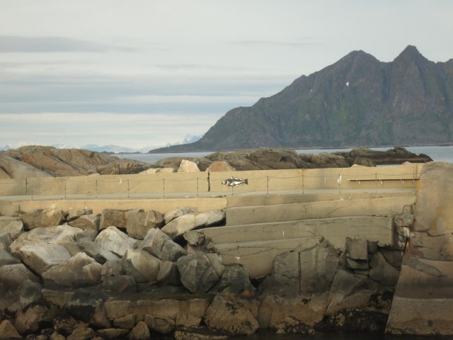 Hurtigruten_2015-06-20_20-57-2